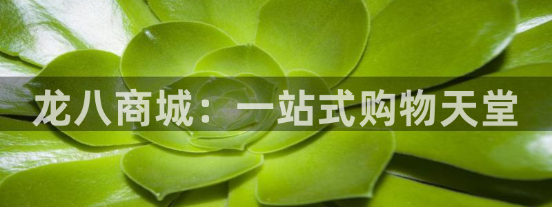 多多28.ccm.注册平台