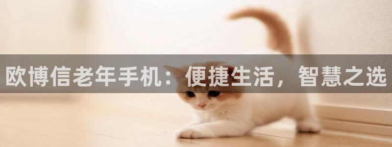 多多28pg最新版本下载
