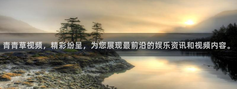 多多28下载安装
