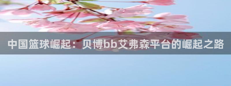 多多28下载平台