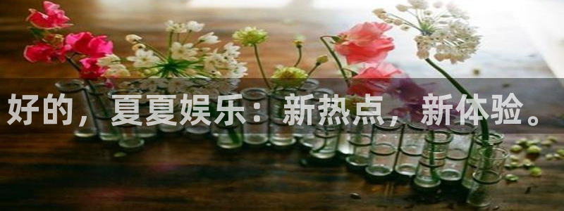 多多28苹果版怎么下载：好的，夏夏娱乐：新热点，新体验。