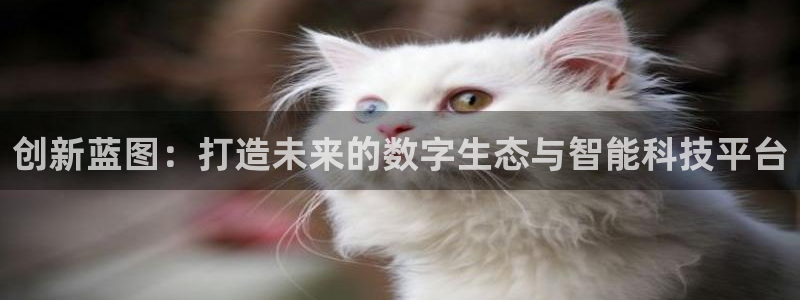 多多28娱乐电子游戏：创新蓝图：打造未来的数字生态与智能科技平台