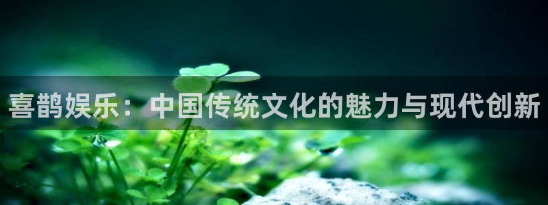 多多28平台下载链接：喜鹊娱乐：中国传统文化的魅力与现代创新