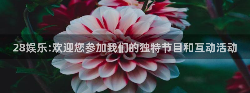 多多28科技赋能场景,让娱乐更有趣：28娱乐:欢迎您参加我们的独特节目和互动活动