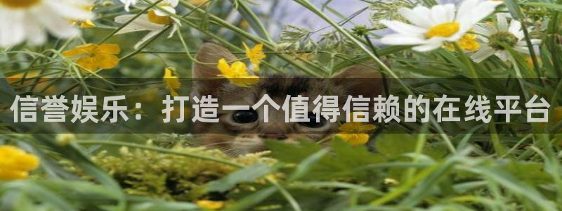 下载多多28.ccm.28官网版：信誉娱乐：打造一个值得信赖的在线平台