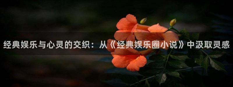 多多28ccm.下载：经典娱乐与心灵的交织：从《经典娱乐圈小说》中汲取灵感