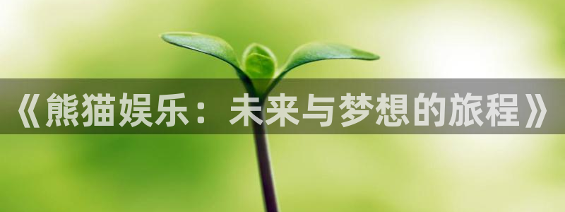 多多28注册入口登录：《熊猫娱乐：未来与梦想的旅程》
