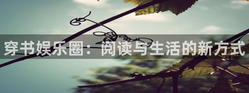 多多28游戏下载入口：穿书娱乐圈：阅读与生活的新方式