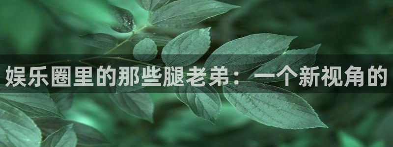 多多28app官方下载地址：娱乐圈里的那些腿老弟：一个新视角的