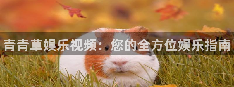 多多28预测官网入口：青青草娱乐视频：您的全方位娱乐指南