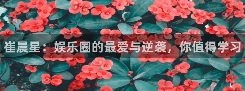 多多28模拟器：崔晨星：娱乐圈的最爱与逆袭，你值得学习