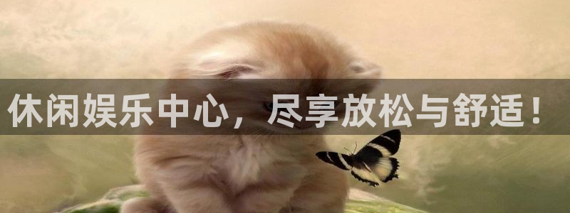 多多28pg下载官网：休闲娱乐中心，尽享放松与舒适！