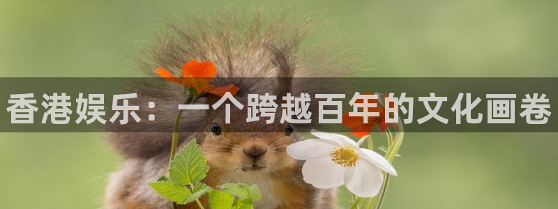 多多28平台：香港娱乐：一个跨越百年的文化画卷