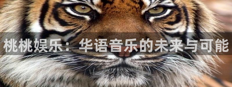 多多28官网下载：桃桃娱乐：华语音乐的未来与可能