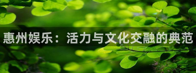 多多28注册入口登录：惠州娱乐：活力与文化交融的典范