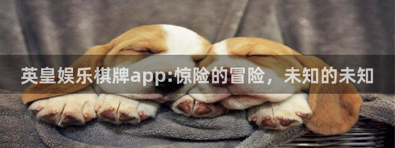 多多28官网下载：英皇娱乐棋牌app:惊险的冒险，未知的未知