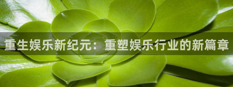 多多28.ccpc：重生娱乐新纪元：重塑娱乐行业的新篇章