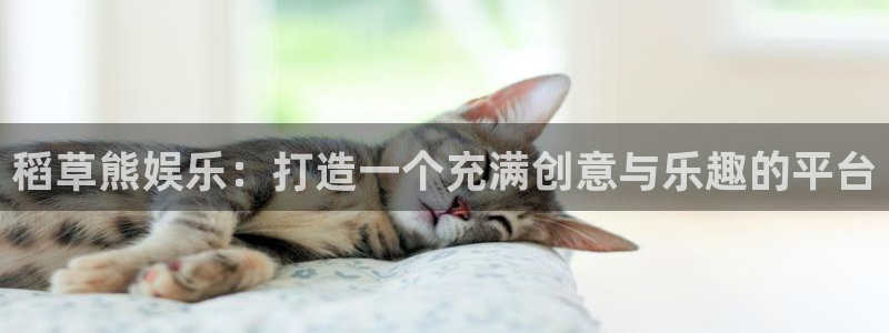 多多28app：稻草熊娱乐：打造一个充满创意与乐趣的平台