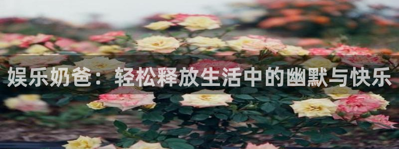 多多28赏金女王下载：娱乐奶爸：轻松释放生活中的幽默与快乐
