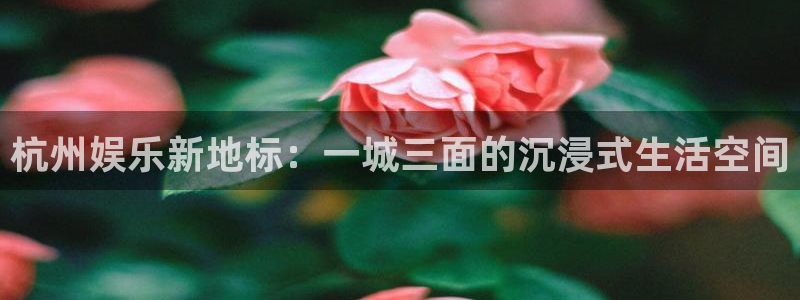 多多28pg：杭州娱乐新地标：一城三面的沉浸式生活空间