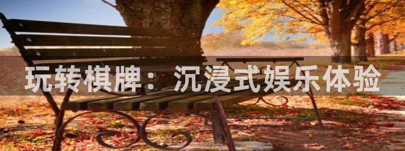 多多28游戏下载入口：玩转棋牌：沉浸式娱乐体验