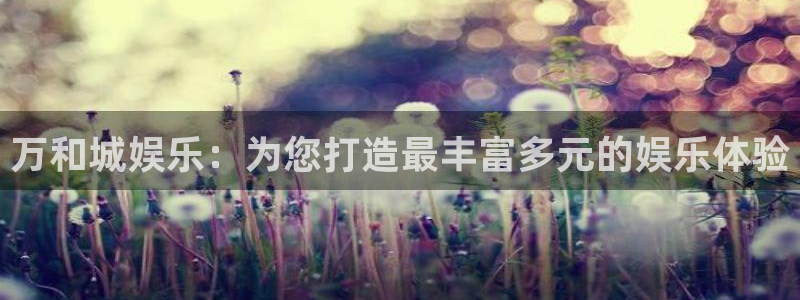 多多28模拟器：万和城娱乐：为您打造最丰富多元的娱乐体验
