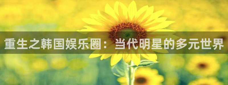 多多28游戏下载入口：重生之韩国娱乐圈：当代明星的多元世界