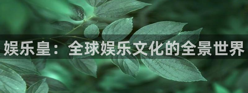 多多28pg官方安装下载：娱乐皇：全球娱乐文化的全景世界