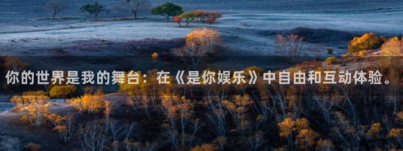多多28平台：你的世界是我的舞台：在《是你娱乐》中自由和互动体验。