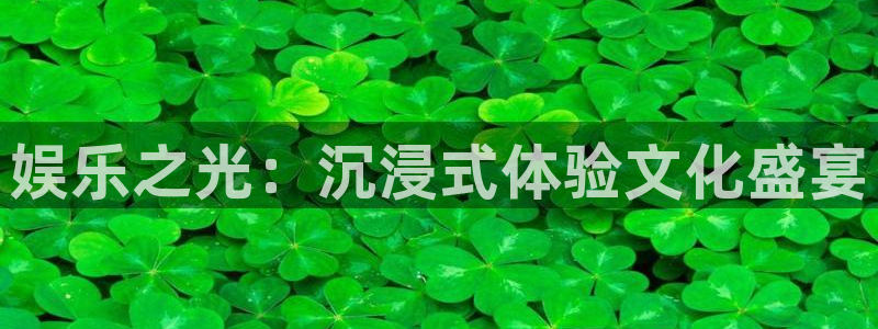 多多28娱乐场所：娱乐之光：沉浸式体验文化盛宴