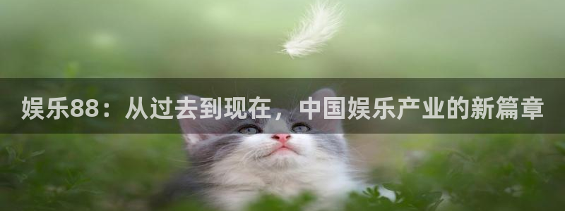 多多28平台注册：娱乐88：从过去到现在，中国娱乐产业的新篇章