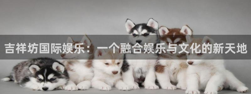 多多28直接下载：吉祥坊国际娱乐：一个融合娱乐与文化的新天地