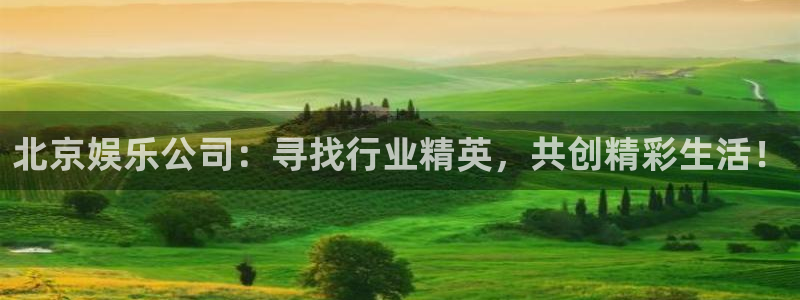 多多28平台电子游戏：北京娱乐公司：寻找行业精英，共创精彩生活！
